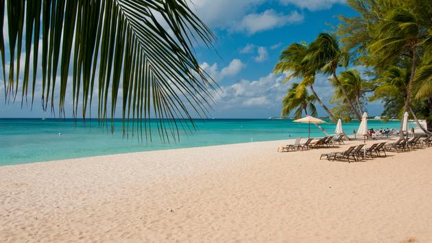 Cayman Islands Eases COVID-19 Entry Requirements for Vaccinated Visitors Pubs Sydney